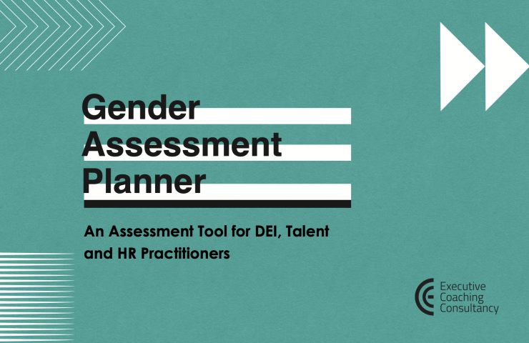 The Gender Assessment Planner Tool