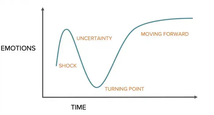 The Change Curve - ECC