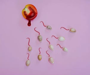 When achieving pregnancy is your first challenge article