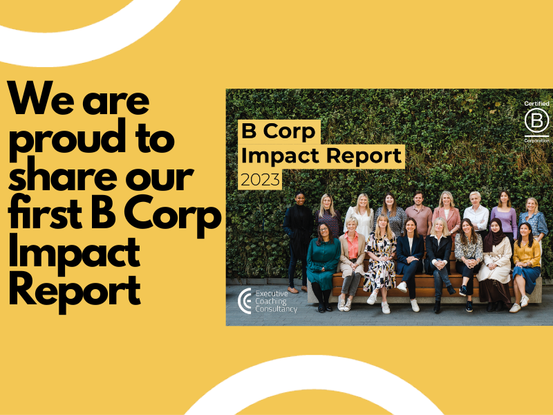 B Corp Impact Report 2023